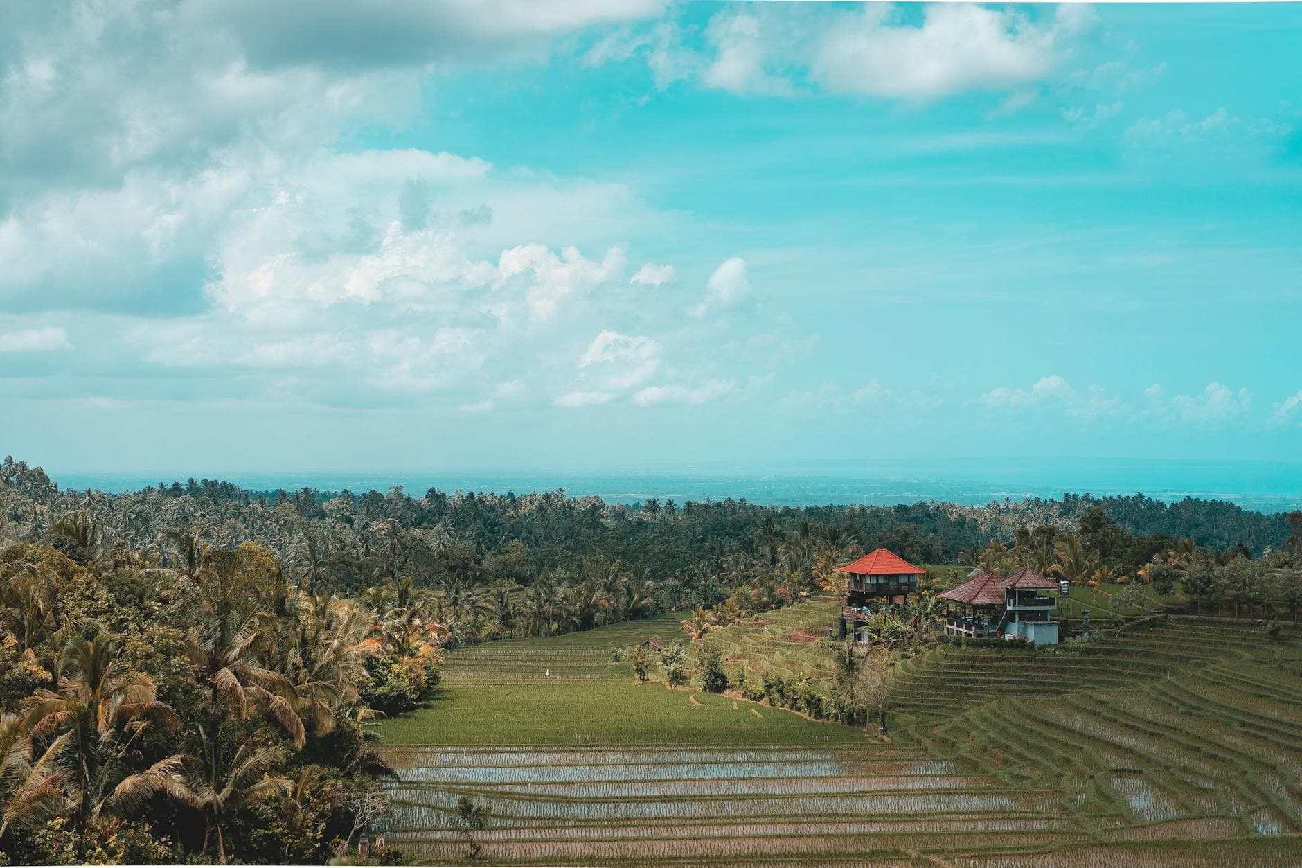 Bali