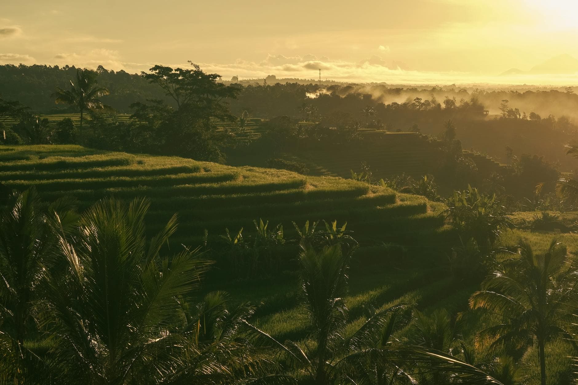 Ubud