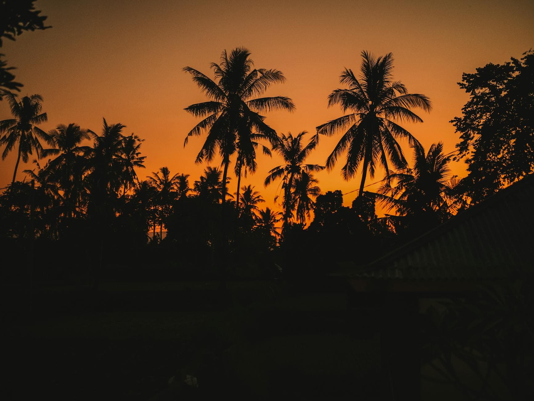 Quand partir à Bali ? La meilleure période selon la saison