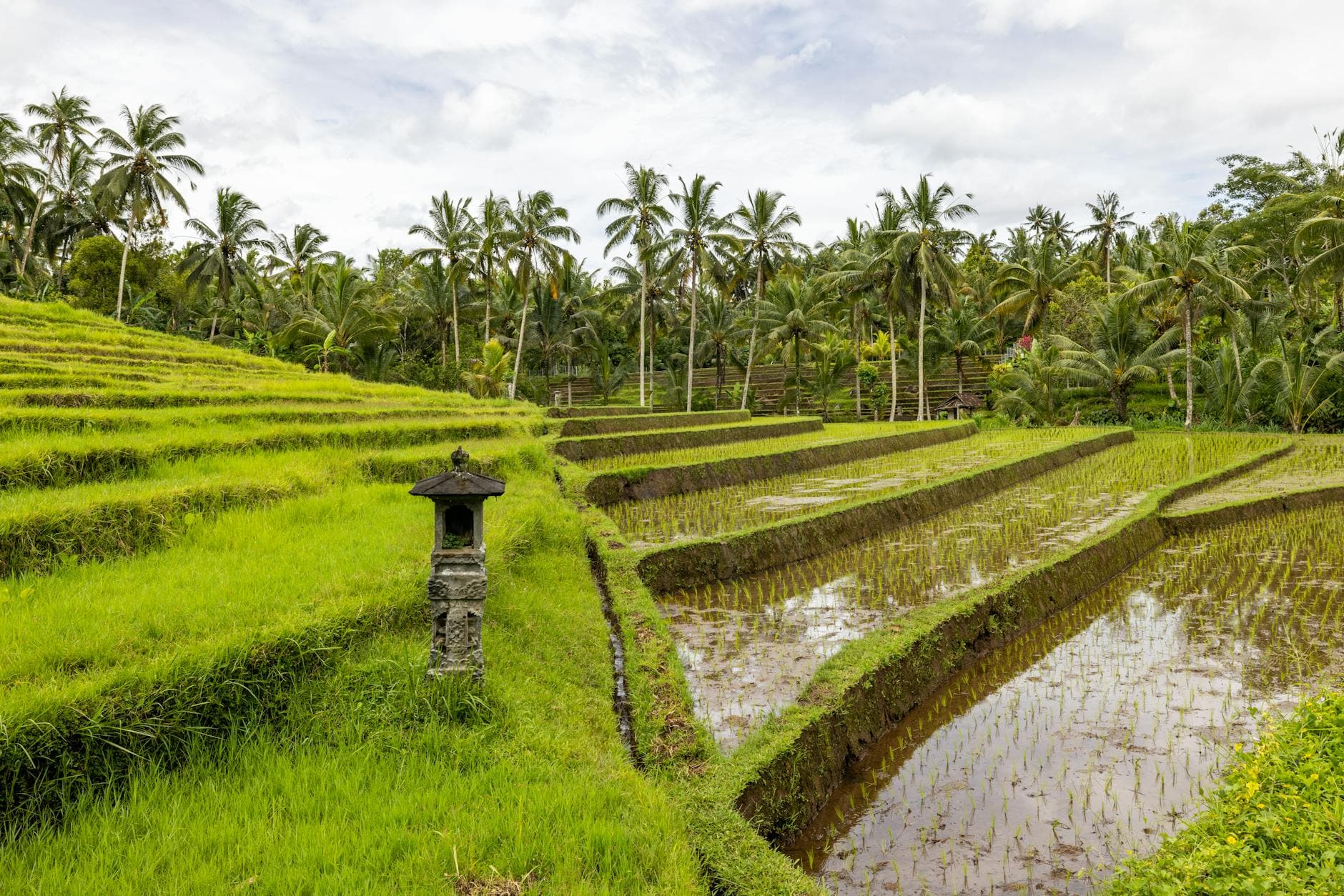 Que faire à Ubud ? Le meilleur de la ville culturelle de Bali